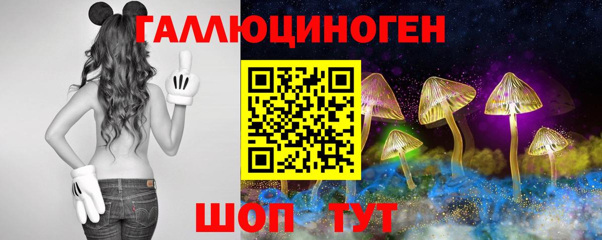 Галлюциногенные грибы Psilocybe  Вход с VPN  закладка  Юрга 
